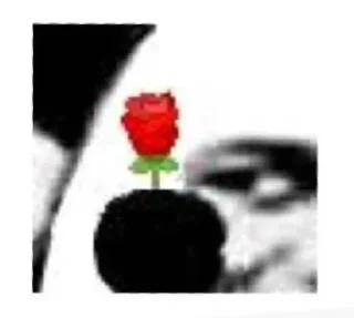 🌹 emoji @xing122 的私藏 (4) Telegram sticker 12 of 120