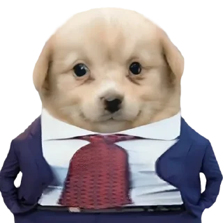 😎 emoji Jared Introvert Telegram sticker 9 of 24
