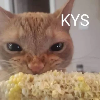 🐈 emoji Cat Eating Corn Telegram sticker 20 of 29
