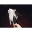 🔪 emoji memes are real pt. 2 Telegram sticker 7 of 120
