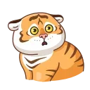 Sticker from Grumpy Tiger
