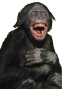 😂 emoji le monke faec xP Telegram sticker 13 of 48