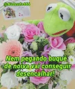 💐 emoji Kermit, the frog 8 🐸 Telegram sticker 14 of 120