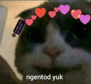 😉 emoji @Crypto08 Kocheng Unyu Telegram sticker 18 of 38