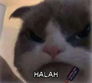 😡 emoji @Crypto08 Kocheng Unyu Telegram sticker 1 of 38
