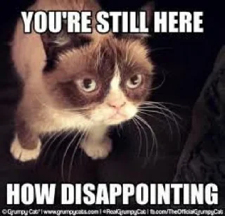 😏 emoji Grumpy Cat Edition 3🐾
@EdwinLove Telegram sticker 7 of 28