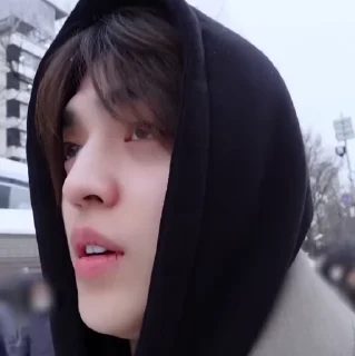 🧳 emoji ‌ ‌ ‌ ‌ ‌ ‌  ‌ ‌ ‌s.coups  :  @li3yb  ꣼ Telegram sticker 10 of 40