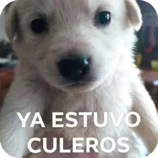 🐶 emoji TeleStickers Casa house Telegram sticker 11 of 41