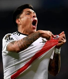 🐔 emoji River Libertadores ⚽🏆🇦🇷 @Luganovelez Telegram sticker 18 of 120
