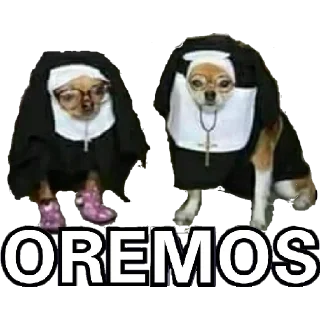 🙏 emoji animals Telegram sticker 5 of 66