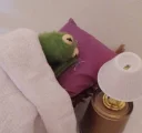 🐸 emoji kermit Telegram sticker 21 of 41