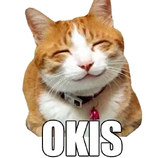 😃 emoji gatos Telegram sticker 16 of 44