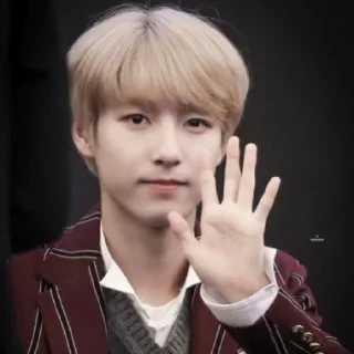 ♟️ emoji Huang Renjun @jevanmilo Telegram sticker 11 of 75
