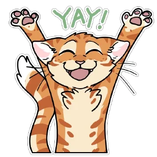 😺 emoji Orange Cat by maimface Telegram sticker 10 of 65