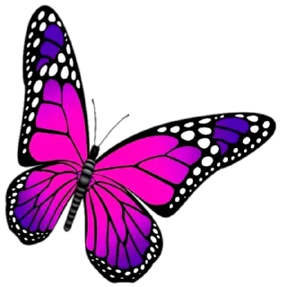 🦋 emoji Simplesmente LUNNA Oficial 2🌙👩‍🦰 Telegram sticker 7 of 120