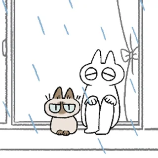 🌧️ emoji Siamese Cat Azuki @scatas Telegram sticker 22 of 48
