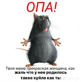 🐈‍⬛ emoji викуля Telegram sticker 9 of 32