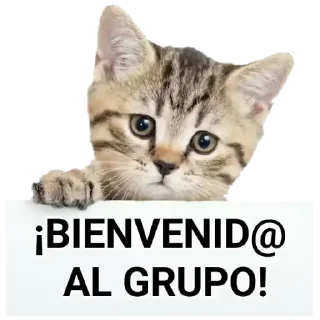 👋 emoji TGS Telegram sticker 20 of 120