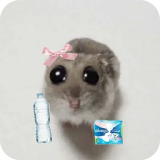 🐱 emoji Dua Jabir @SticZ_Bot • @aljoker_z_e Telegram sticker 14 of 98