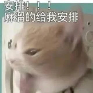 👁 emoji 海外联盟专属表情包 Telegram sticker 19 of 25