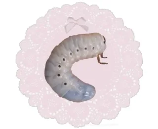 🐛 emoji PlantiStickers VOL1 Telegram sticker 17 of 120