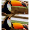 🐧 emoji Meme Pack Telegram sticker 14 of 120