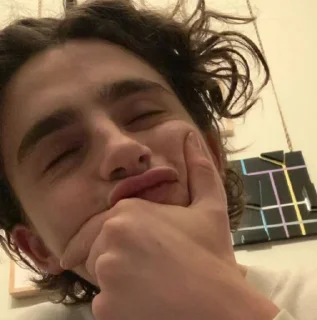Sticker from the essence of timothée chalamet by @nathanist