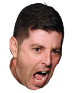 🤬 emoji TinFoil Hat Telegram sticker 9 of 39