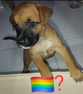 🏳️‍🌈 emoji 🏳️‍🌈? Telegram sticker 13 of 91