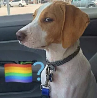 🏳️‍🌈 emoji 🏳️‍🌈? Telegram sticker 9 of 91