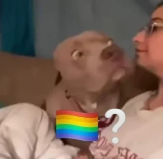 🏳️‍🌈 emoji 🏳️‍🌈? Telegram sticker 20 of 91