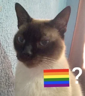 🏳️‍🌈 emoji 🏳️‍🌈? Telegram sticker 11 of 91