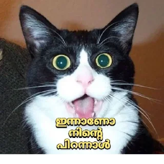 🤣 emoji Talk with Kerala Telegram sticker 21 of 24
