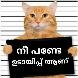 😂 emoji Talk with Kerala Telegram sticker 22 of 24