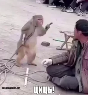 Sticker from бунт блуда