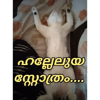 😂 emoji Talk with Kerala Telegram sticker 20 of 24