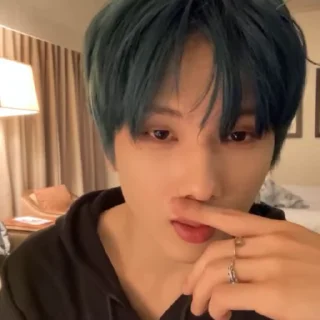 🦜 emoji Jisung 3.0 by @aratickers Telegram sticker 10 of 50