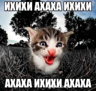 Sticker from викуля