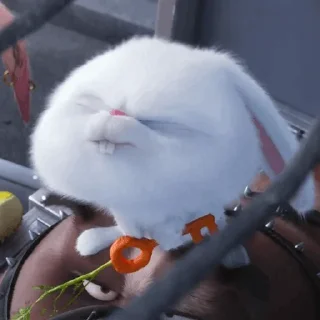 🐇 emoji ;SnowBall Telegram sticker 13 of 115