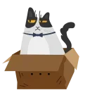 📦 emoji NewFolder's Animated Stickers Telegram sticker 8 of 50
