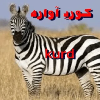 😂 emoji Kirdostan action Telegram sticker 12 of 33