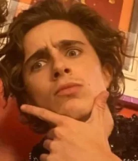 Sticker from the essence of timothée chalamet by @nathanist