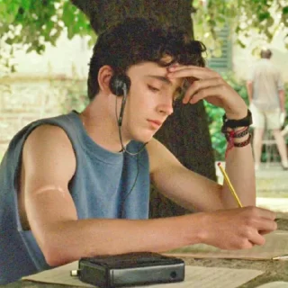 😕 emoji the essence of timothée chalamet by @nathanist Telegram sticker 5 of 60