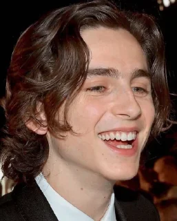 😃 emoji the essence of timothée chalamet by @nathanist Telegram sticker 14 of 60