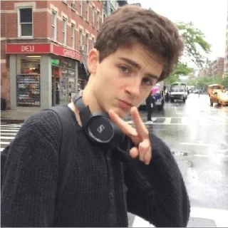 ✌ emoji Timothée Chalamet 💖 Telegram sticker 24 of 62