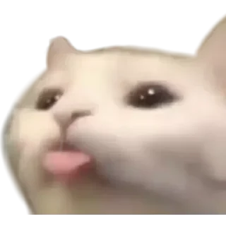 😊 emoji MEMES vol. 4 pack's by @Vhmit Telegram sticker 23 of 120