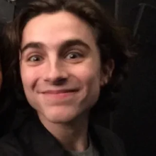 🙂 emoji the essence of timothée chalamet by @nathanist Telegram sticker 9 of 60
