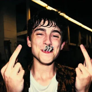 🖕 emoji the essence of timothée chalamet by @nathanist Telegram sticker 3 of 60