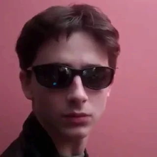 😎 emoji the essence of timothée chalamet by @nathanist Telegram sticker 19 of 60