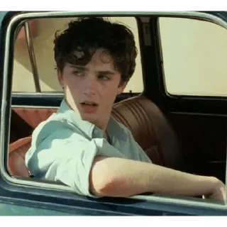 🚙 emoji Timothée Chalamet 💖 Telegram sticker 14 of 62